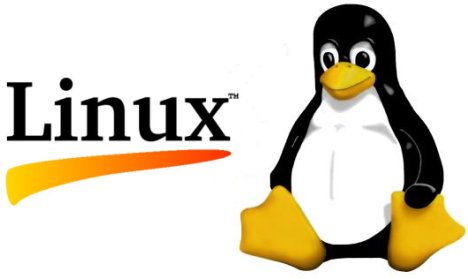1C на Linux 